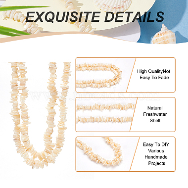 2 Strands Natural Shell Beads Strands(BSHE-BC0001-05)-4