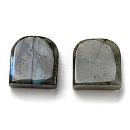Natural Labradorite Pendants, Square Charms, 24~24.5x22~22.5x8~9mm, Hole: 1.5mm(G-M405-10-01)