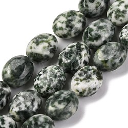 Natural Green Spot Jasper Beads Strands, Flat Oval, 10x8x5.5mm, Hole: 0.8mm, about 39pcs/strand, 15.08''(38.3cm)(G-M420-D13-01)