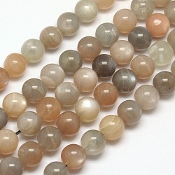 Natural Moonstone & Sunstone Beads Strands, Round, 6mm, Hole: 1mm, about 65pcs/strand, 15.7 inch(X-G-J157-6mm-06A)