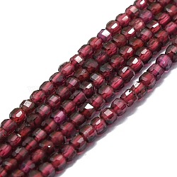 Grade A Natural Garnet Beads Strands, Faceted, Cube, 2x2x2mm, Hole: 0.6mm, about 182pcs/strand, 15.16''~15.55''(38.5~39.5cm)(G-P457-B01-39)