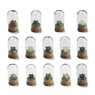 Gemstone Polygon Display Decoration with Glass Dome Cloche Cover, Cork Base Bell Jar Ornaments for Home Decoration, 30x60mm(DJEW-B009-05)