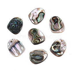 Natural Paua Shell Nuggets Charms, 14.5x11.5x1.5mm, Hole: 1.4mm(SHEL-T020-11B)