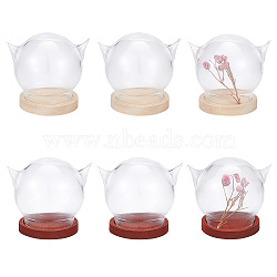 6 Sets 2 Colors Cat's Head Glass Dome Cover, Decorative Display Case, Cloche Bell Jar Terrarium with Wood Base, for DIY Preserved Flower Gift, Mixed Color, 35x43.5x37mm, Inner Diameter: 21.5mm, 3 sets/color(AJEW-DR0001-07)