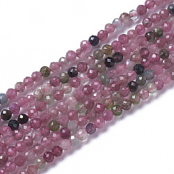 Natural Tourmaline Beads Strands, Faceted, Round, 2~3x2~2.5mm, Hole: 0.2mm, about 181~210pcs/strand, 15.9~16.3 inch(40.4~41.5cm)(X-G-F596-06-2mm)