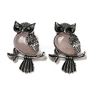 Natural Rose Quartz Pendants, Antique Silver Plated Owl Charms with Blak Glass, 45x33.5x19mm, Hole: 8x9.5mm(X-G-H308-01AS-02)