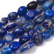 Natural Lapis Lazuli Beads Strands, Nuggets, Tumbled Stone, 5~10x4~5x3~4mm, Hole: 0.8mm, about 61pcs/strand, 15.35 inch(39cm)(X-G-L493-40)