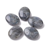 Natural Labradorite Oval Palm Stone, Reiki Healing Pocket Stone for Anxiety Stress Relief Therapy, 45~45.5x35~35.5x14.5~15mm(G-K416-03F)