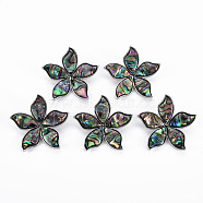 Flower Shape Natural Abalone Shell/Paua Shell Brooch Pin, Alloy Lapel Pin for Backpack Clothing, Lead Free & Cadmium Free, Antique Silver, Colorful, 41x43x9~10mm, Hole: 6x4mm, Pin: 0.7mm(G-N333-012B-RS)