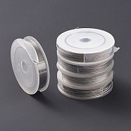 (Defective Closeout Sale: Defective Spool) Stainless Steel Wire, Craft Wire, Stainless Steel Color, 0.3~1mm, about 32.81 Feet(10m)~229.66 Feet(70m)/Roll(TWIR-XCP0001-07)