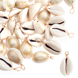 50Pcs Natural Cowrie Shell Pendants, Shell Charms with Real 18K Gold Plated Eco-Friendly Copper Wire, Seashell Color, 28~32.5x14~16.5x11~12.5mm, Hole: 3.6mm(FIND-BBC0003-13)