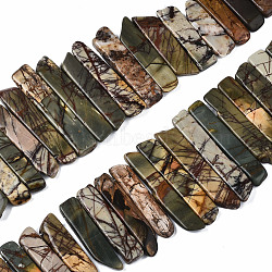 Natural Picasso Stone/Picasso Jasper Beads Strands, Graduated Strip, 18~52x8~12x4~5.5mm, Hole: 1.2mm, about 42~43pcs/strand, 15.94 inch~16.14 inch(40.5~41cm)(G-S355-19-01)