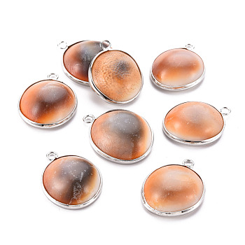 Natural Trumpet Shell Pendants, with Platinum Tone Brass Findings, Half Round/Dome, Saddle Brown, 26.5~29x20.5~23x8.5mm, Hole: 2.2mm