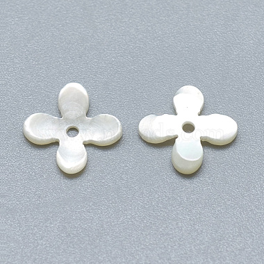 Natural White Shell Beads(SSHEL-S260-056B-01)-2