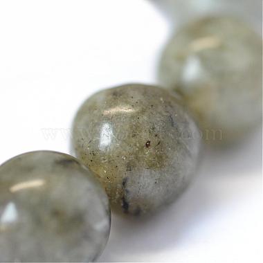 Natural Labradorite Round Bead Strands(G-E334-6mm-19)-4