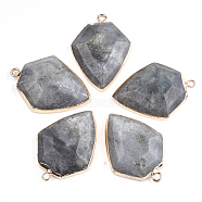 Electroplate Natural Labradorite Pendants, with Iron Findings, Arrows, Golden, 30~31x22.5x6~7mm, Hole: 1.8mm(G-S344-20A)
