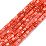 Natural Freshwater Shell Beads Strands, Dyed, Column, Orange Red, 3.5x3.5mm, Hole: 0.8mm, about 110~113pcs/strand, 14.69 inch~15.08 inch(37.3~38.3cm)(X-SHEL-N003-33-A06)
