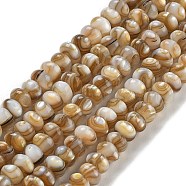 Natural Freshwater Shell Beads Strands, Rondelle, Camel, 5x3.5~4mm, Hole: 0.6mm, about 116pcs/strand, 15.55''(39.5cm)(BSHE-G038-05)