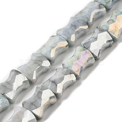 Electroplate Glass Beads Strands, Rainbow Plated, Faceted, Bamboo, Light Grey, 11x8.5x5.5mm, Hole: 1.4mm, about 40pcs/strand, 16.54''(42cm)(GLAA-D013-06D)