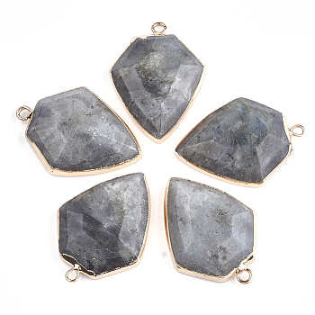 Electroplate Natural Labradorite Pendants, with Iron Findings, Arrows, Golden, 30~31x22.5x6~7mm, Hole: 1.8mm