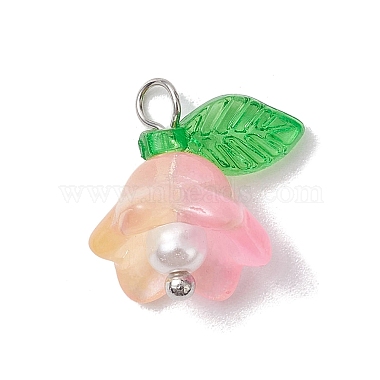 Mixed Color Glass Pearl & Acrylic Charms(PALLOY-JF02567-01)-2