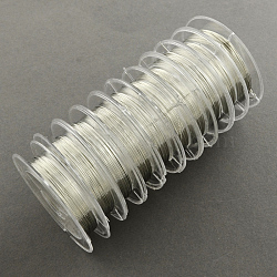 Copper Wire for Jewelry Making, Silver Color Plated, 0.3mm, about 32.8 Feet(10m)/roll, 10 rolls/group(CWIR-R003-0.3mm-02)