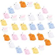 SUPERFINDINGS 40Pcs 2 Style Resin Pendant, with Iron Findings, Rabbit, Mixed Color, 40pcs/box(RESI-FH0001-33)