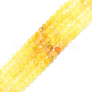 Natural Yellow Opal Beads Strands, Faceted, Round, 2mm, Hole: 0.5mm, about 215pcs/strand, 15.16''~15.55''(38.5~39.5cm)(G-P457-A01-18)