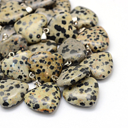 Heart Natural Dalmatian Jasper Pendants, with Platinum Tone Brass Findings, 20~22x20~21x5~8mm, Hole: 2x7mm(G-Q438-04)