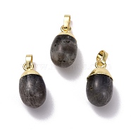 Natural Labradorite Pendants, with Golden Brass Findings, Oval, 18.5x9.5mm, Hole: 3.5x6.5mm(G-F712-03E-G)