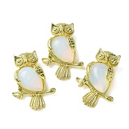 Opalite Pendants, Brass Owl Charms, Golden, Rack Plating, Cadmium Free & Lead Free, 36.5x26.5x7.5mm, Hole: 6.5x4.5mm(KK-F888-02G-18)