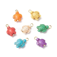 Dyed Synthetic Turquoise Pendants, with Golden Tone Iron Loops, Tortoise Charms, Golden, 22x14x7mm, Hole: 3mm(PALLOY-JF01906-02)