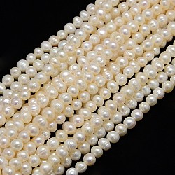 Natural Cultured Freshwater Pearl Beads Strands, Potato, Creamy White, 6.5~7mm, Hole: 0.8mm, about 49~54pcs/strand, 13.19''(33.5cm)(X1-PEAR-N013-06I)