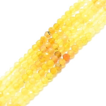 Natural Yellow Opal Beads Strands, Faceted, Round, 2mm, Hole: 0.5mm, about 215pcs/strand, 15.16''~15.55''(38.5~39.5cm)
