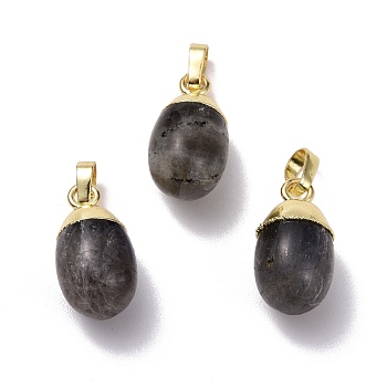 Natural Labradorite Pendants, with Golden Brass Findings, Oval, 18.5x9.5mm, Hole: 3.5x6.5mm