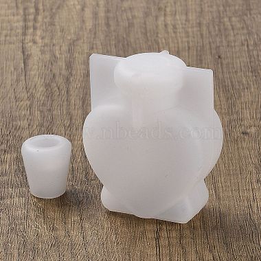moldes de silicona para botella de deseos diy(X-DIY-M049-01A)-2