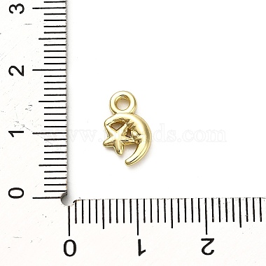 Alloy Pendants(X1-FIND-A051-02B-G)-3