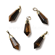 Natural Tiger Eye Pointed Pendants, with Golden Tone Brass Findings, Bullet, 35~36.5x13~13.5x12mm, Hole: 5x7mm(G-P474-02G-06)