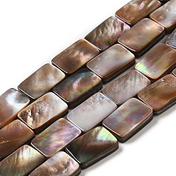 Natural Sea Shell Beads Strands, Rectangle, 12x8x2.5mm, Hole: 0.7mm, about 33pcs/strand, 15.91''(40.4cm)(SHEL-K006-21)