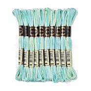 10 Skeins 6-Ply Polyester Embroidery Floss, Cross Stitch Threads, Segment Dyed, Turquoise, 0.5mm, about 8.75 Yards(8m)/skein(OCOR-K006-A26)