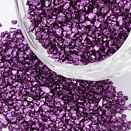 FGB Plated Glass Seed Beads, For Nail Art Decoration Accessories, No Hole/Undrilled, Chips, Purple, 1.0~1.5mm, about 450g/bag(SEED-S020-03C-09)
