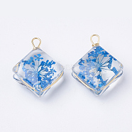 Glass Pendants, with Dried Flower Inside & Brass Findings, Rhombus, Golden, Dodger Blue, 21~22x16x9mm, Hole: 2mm(X-GLAA-Q070-006A)