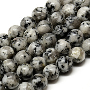 Natural Sesame Jasper/Kiwi Jasper Beads Strands, Round, 6~6.5mm, Hole: 1mm, about 63pcs/strand, 15.5 inch(G-Q462-52-6mm)