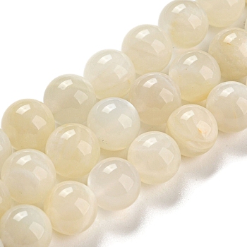 Natural White Moonstone Beads Strands, Grade AB, Round, White, 10mm, Hole: 1mm, about 40pcs/strand.