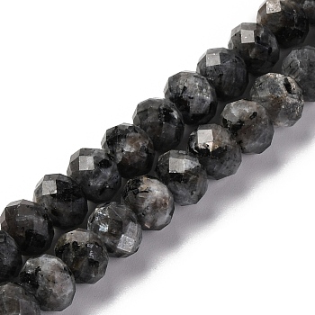 Natural Larvikite Beads Strands, Faceted, Rondelle, 8x6mm, Hole: 1mm, about 63~64pcs/strand, 14.96''~15.35''(38~39cm)