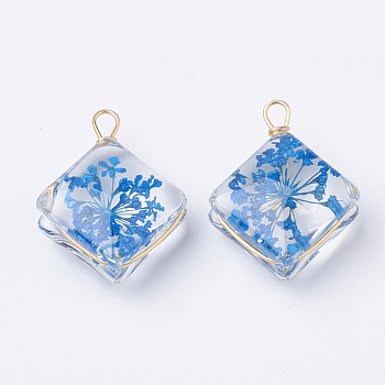 Glass Pendants, with Dried Flower Inside & Brass Findings, Rhombus, Golden, Dodger Blue, 21~22x16x9mm, Hole: 2mm