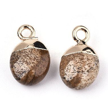 Natural Picture Jasper Charms(G-N326-58D)-3