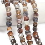 Natural Botswana Agate Beads Strands, Faceted Table Cut Cube, 8.5~9.8x8.5~9.8x8.5~9.8mm, Hole: 0.8~1.2mm, about 45~46pcs/strand, 14.96~15.47 inch(38~39.3cm)(G-C267-A07)