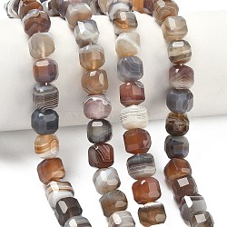 Natural Botswana Agate Beads Strands, Faceted Table Cut Cube, 8.5~9.8x8.5~9.8x8.5~9.8mm, Hole: 0.8~1.2mm, about 45~46pcs/strand, 14.96~15.47 inch(38~39.3cm)(G-C267-A07)