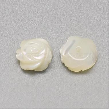 Natural White Shell Mother of Pearl Shell Cabochons(SSHEL-R042-11)-2